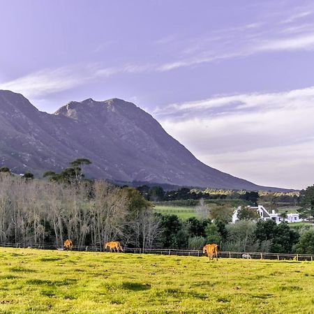 Hotel Hemel 'N Aarde Stud Hermanus Esterno foto