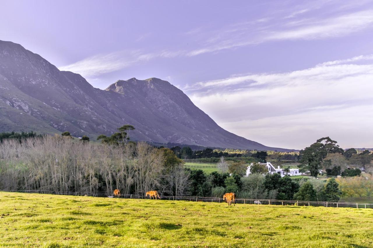 Hotel Hemel 'N Aarde Stud Hermanus Esterno foto